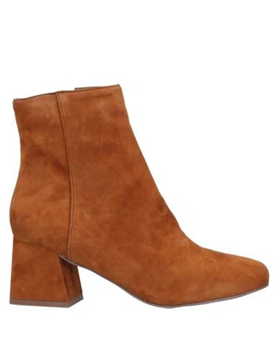 Steve Madden Ankle Boots In Brown