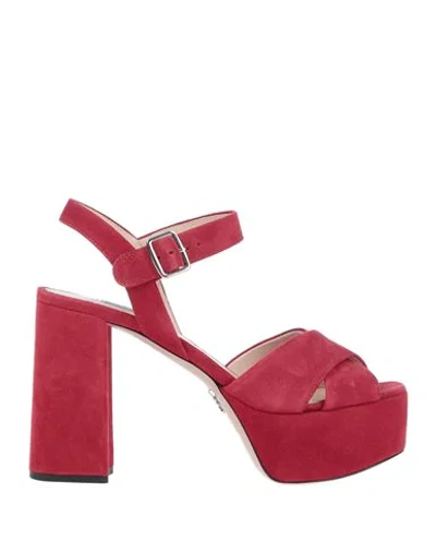 Prada Sandals In Garnet