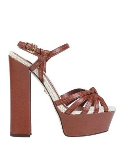 Dolce & Gabbana Sandals In Brown