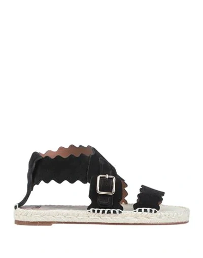 Chloé Sandals In Black