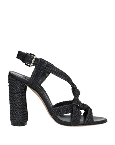 Casadei Sandals In Black