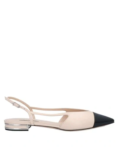 Casadei Ballet Flats In Black