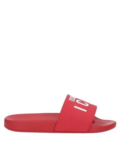 Dsquared2 Woman Sandals Red Size 11 Rubber