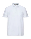 Cashmere Company Polo Shirts In White