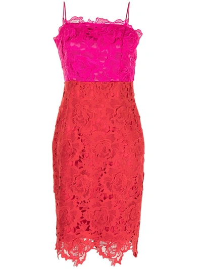 Milly 3d Lace Sleeveless Colorblock Sheath Dress In Razzmatazz/poppy
