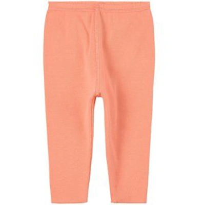 Bonpoint Babies'  Apricot Leggings In Pink