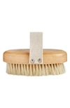 OSEA BODY BRUSH,BRU-1