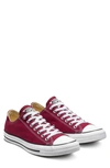 Maroon Canvas