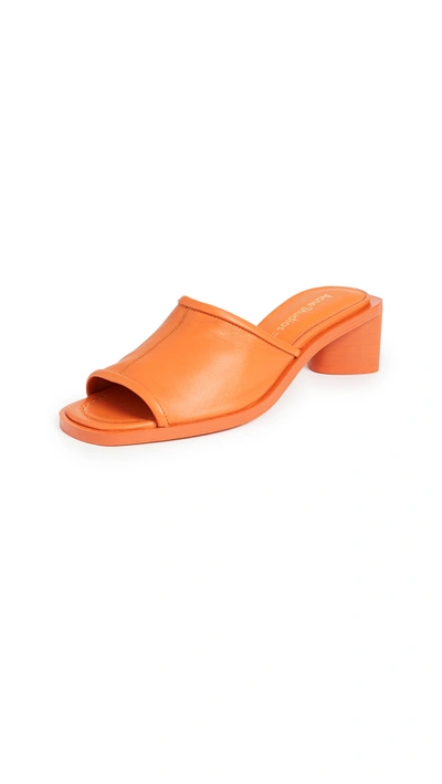 Acne Studios Single Band Block Heel Leather Sandals In Orange/orange