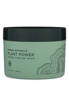 Sienna Naturals Plant Power Damage Repair Strengthening Hair Mask 8 oz