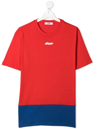 Msgm Kids' Logo拼色t恤 In Red