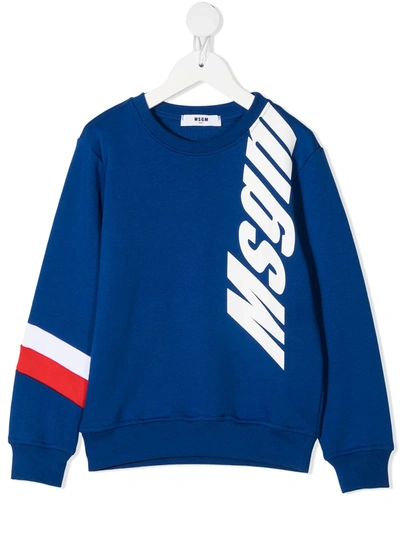 Msgm Kids' Stripe Detail Logo Sweatshirt In Blue