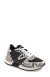 TRETORN LOYOLA 5 SNEAKER,194009830772