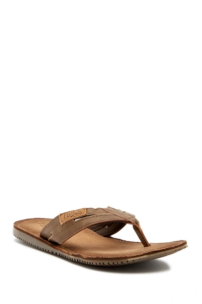 Flojos Alonzo Flip Flop In Brown