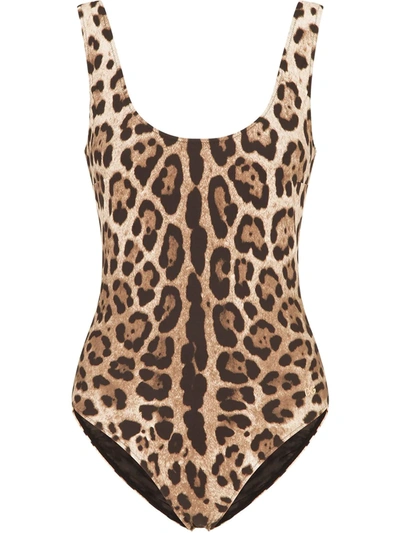 Dolce & Gabbana Leopard-print Swimsuit In Brown