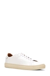 Frye Astor Lace-up Sneaker In White