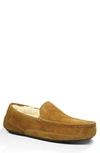 Ugg Ascot Slipper In Chestnut Suede