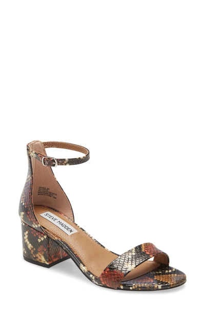 Steve Madden Irenee Ankle Strap Sandal In Multi Snake