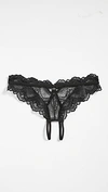 THISTLE & SPIRE KANE OVERT BIKINI PANTIES BLACK,THSPI30162