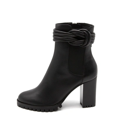 Alexandre Birman Vicky Waterproof Combat Boots In Black