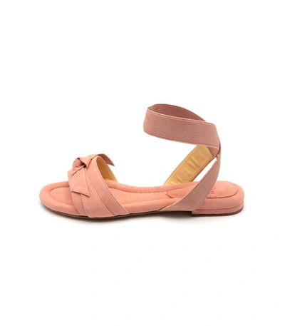 Alexandre Birman Clarita Elastic Flat In Rose In Pink