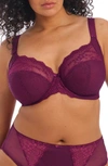Elomi Full Figure Charley Stretch Lace Bra El4382, Online Only In Deep Fuchsia