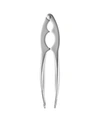 Berghoff Essentials Stainless Steel Nut Cracker In Silver-tone