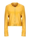 Scee By Twin-set Jackets In Yellow