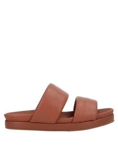 Habille' Italy Sandals In Brown