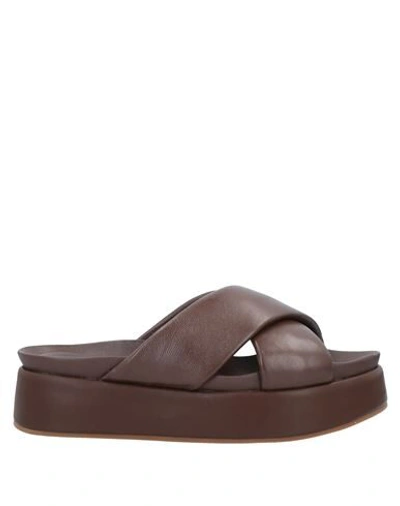 Habille' Italy Sandals In Dark Brown