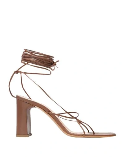 8 By Yoox Toe Strap Sandals In Brown