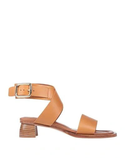 Joseph Sandals In Tan