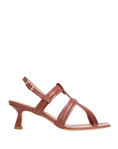 8 By Yoox Toe Strap Sandals In Brown