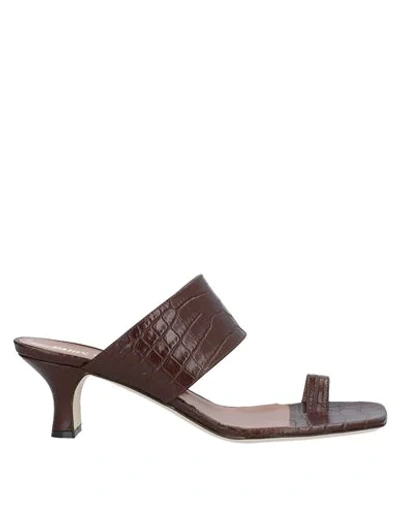 Paris Texas Toe Strap Sandals In Cocoa