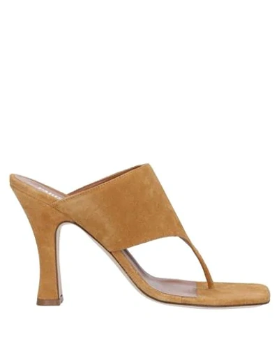 Paris Texas Toe Strap Sandals In Camel