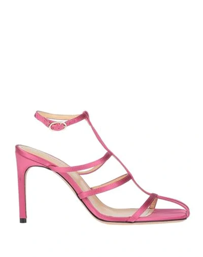Giannico Sandals In Pink