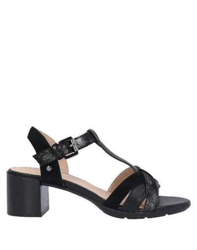 Geox Sandals In Black