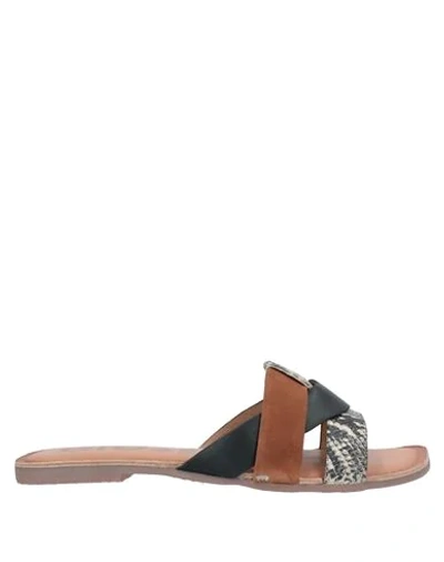 Gioseppo Sandals In Brown