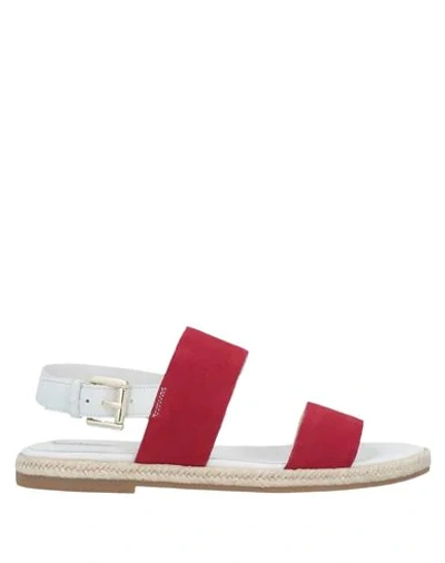 Geox Sandals In Red