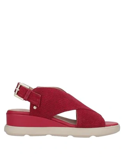 Geox Sandals In Red