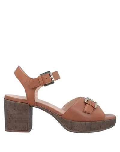 Geox Sandals In Brown