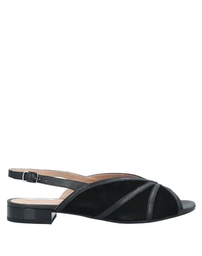 Geox Sandals In Black