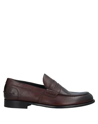 Alexander Trend Loafers In Cocoa