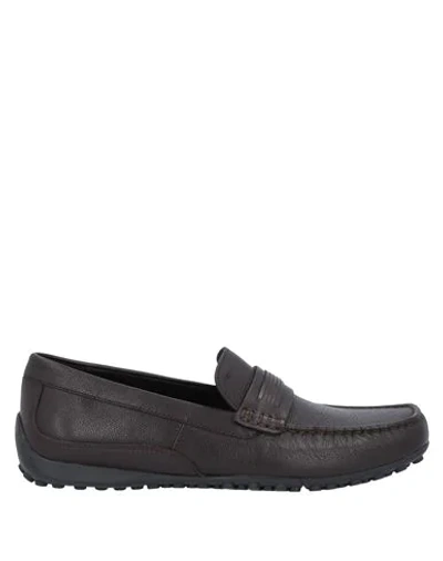 Geox Loafers In Dark Brown