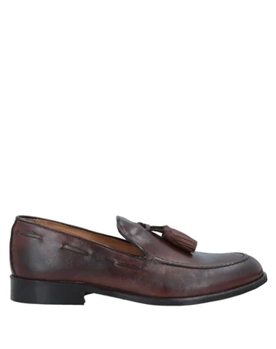 Grey Daniele Alessandrini Loafers In Brown