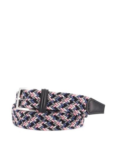 Anderson's Elastic Belt In Multicolour