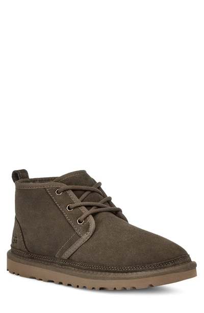 Ugg Neumel Faux Fur Lined Chukka Boot In Eucalyptus Spray Suede