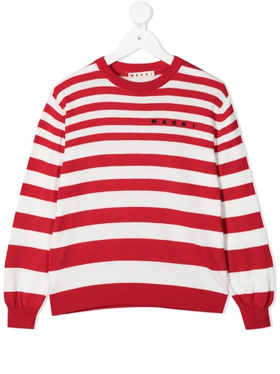 Marni Kids' Stripe Knit Jumper In Red