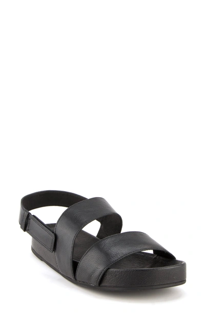 Eileen Fisher Curve Sandal In Black Leather