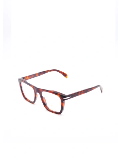 Db Eyewear By David Beckham 13tr3q50a In Red Havana